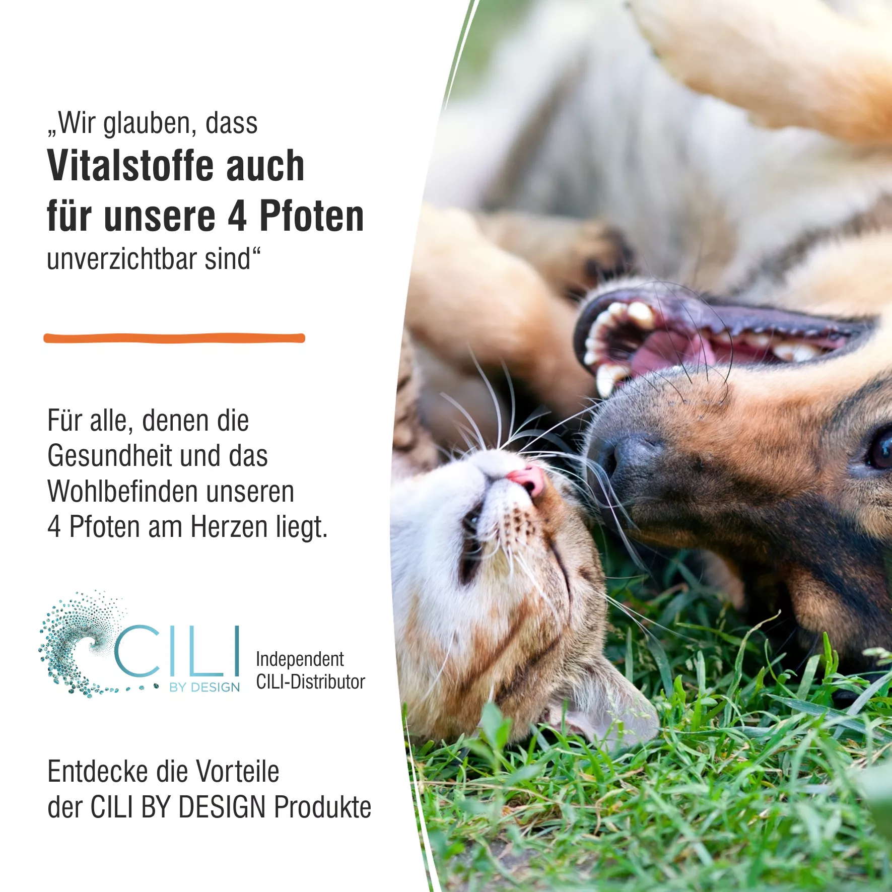 © Copyright 2025 by Werner Buergi